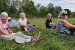 Angelas walk - Iford area - August 2024