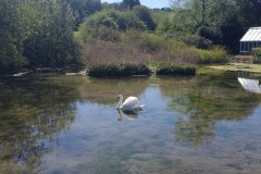 Boyton Walk - April 25th