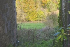 Old Dilton walk - October 2024