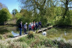 Sherrington Walk - April 2026