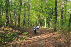Sherrington Walk - April 2025