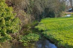 Westbury Leigh - Feb 2025 