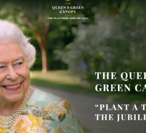 The Queens Green Canopy picture