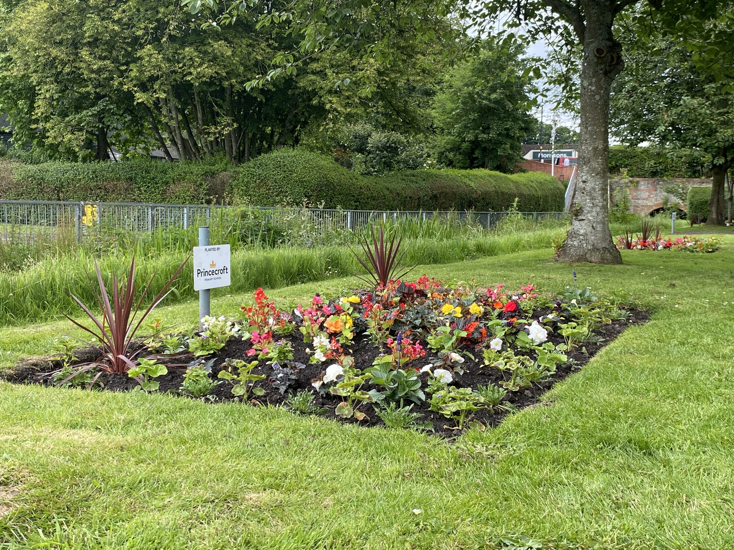 Local schoolchildren plant flowers in Warminster Lake Pleasure Grounds ...