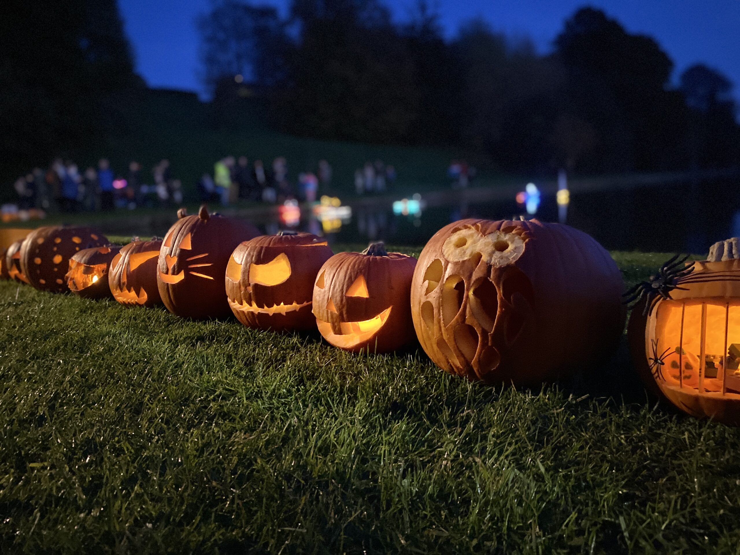 Pumpkins in the Park