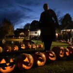 Pumpkins in the Park