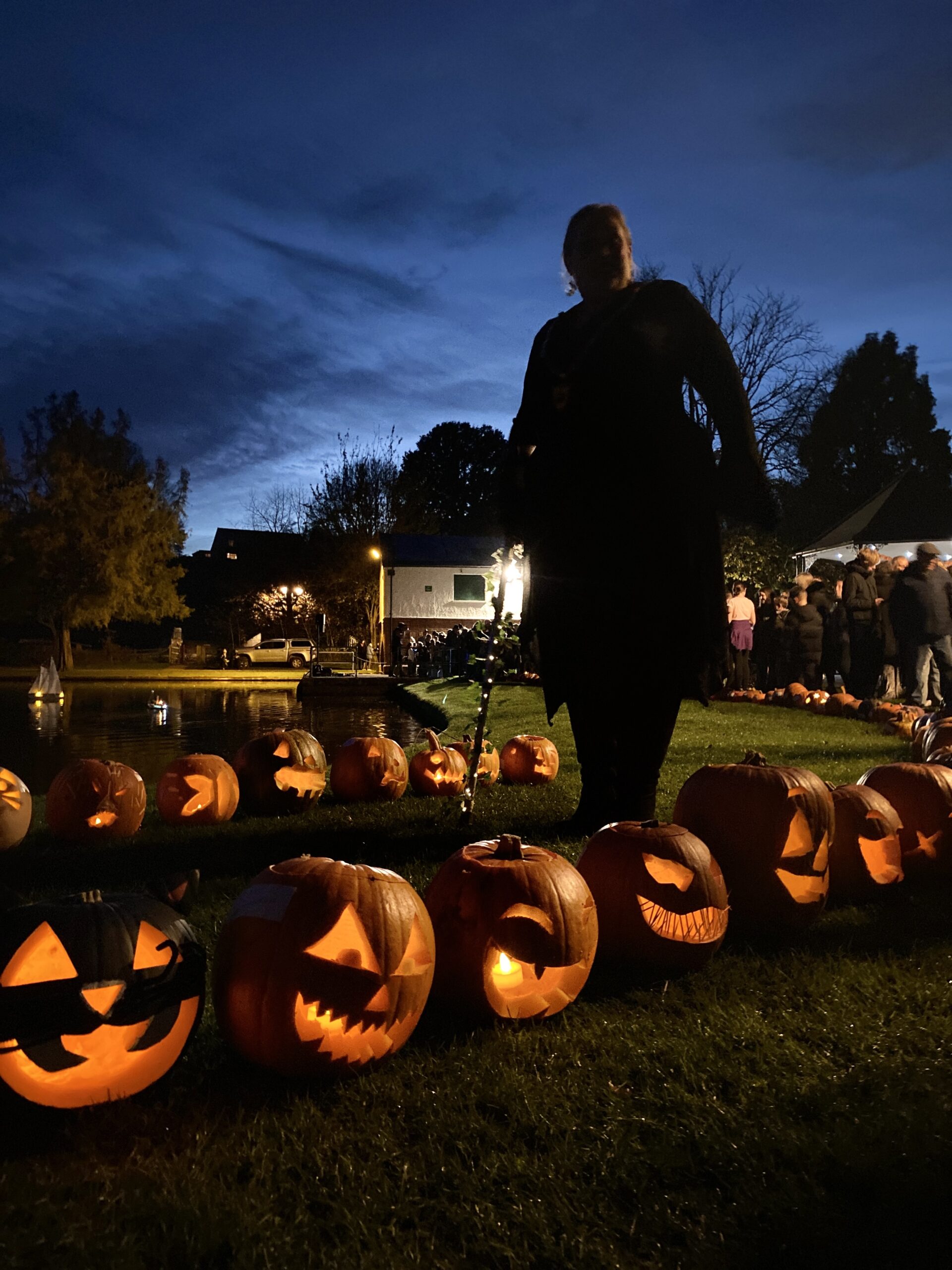 Pumpkins in the Park