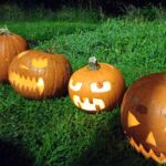 Some of the amazing entries in the Pumpkins in the Park carving competition 2025