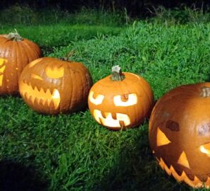 Some of the amazing entries in the Pumpkins in the Park carving competition 2025