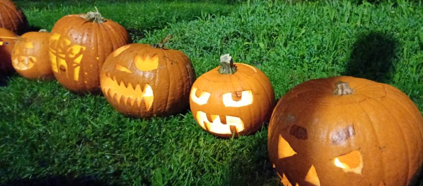 Some of the amazing entries in the Pumpkins in the Park carving competition 2025