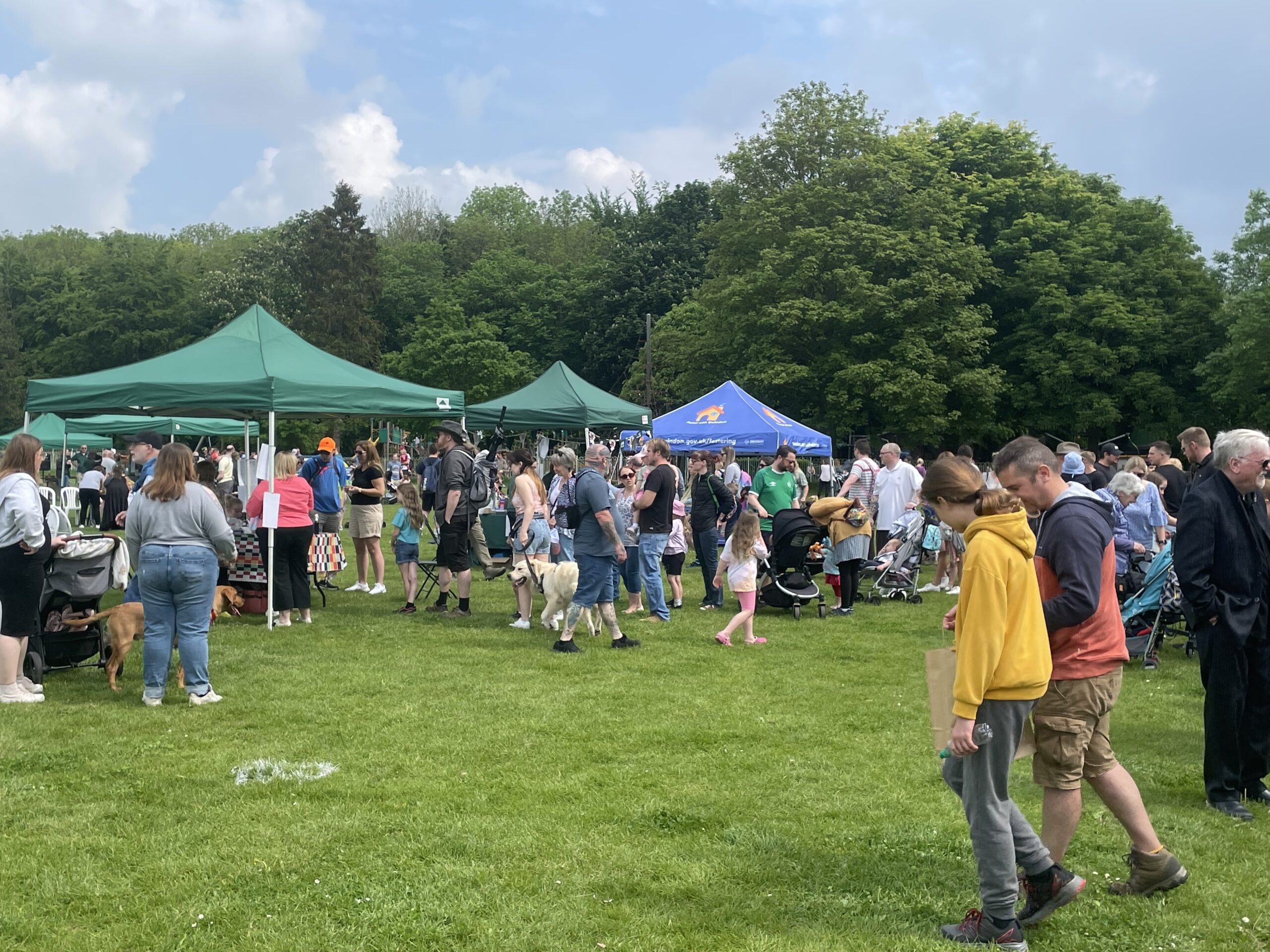 Wiltshire Wildlife Trust - Country Comes to Town 2026